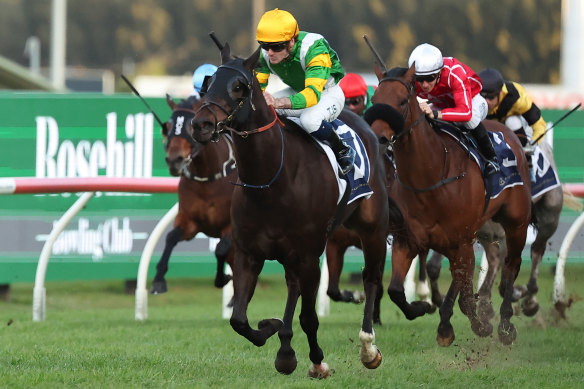 Iron Man charges away from his rivals in Benchmark 78 company at Rosehill last month.