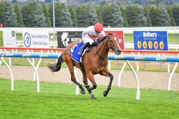 Racing returns to Canterbury on Wednesday.