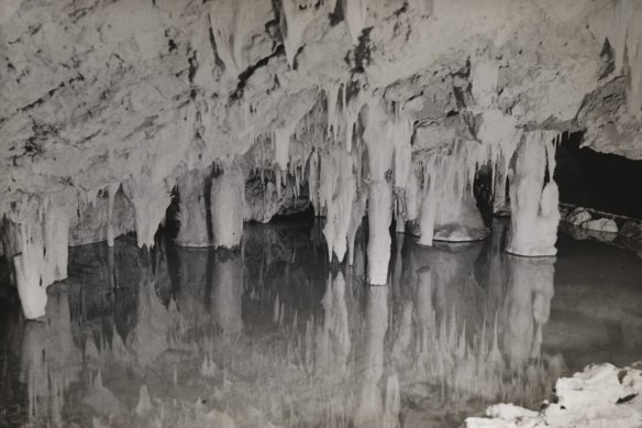 Crystal Cave in the Yanchep National Park used to have plenty of water for ancient invertebrates.