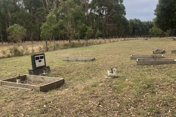 The headstone of Monty and Lyall Foster stands among unmarked graves at the Lake Condah Mission Cemetery.