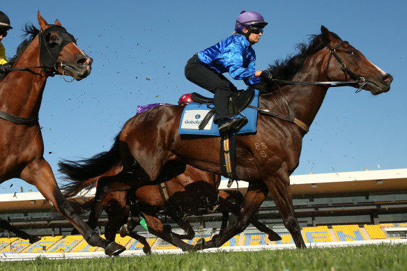 Rachel King on Hilo (right) in heat 2 during the barrier trials at Rosehill Gardens last month.