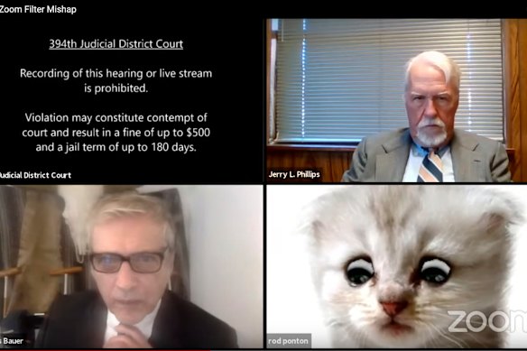A lawyer accidentally left a cat filter on when appearing in court in Texas