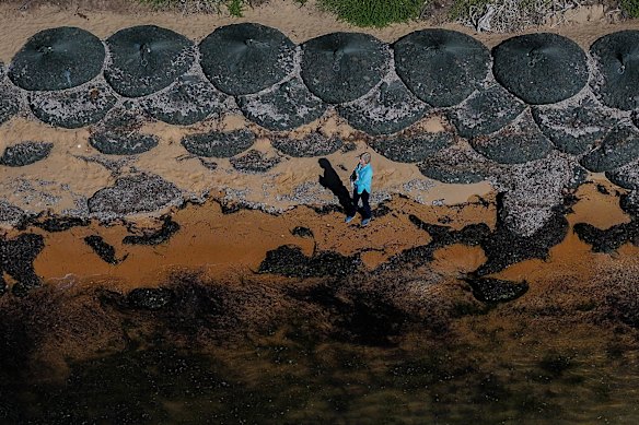 The Silverleaves coastline has receded by 77 meters since 1953.