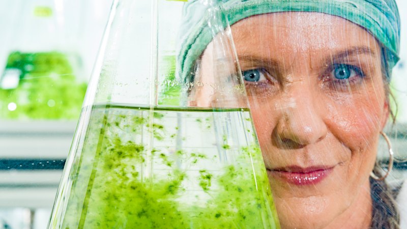 A scientist was scalped by a machine in her lab. Then her own seaweed research helped mend the wound