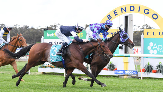 Princess Jenni wins the Bendigo Cup.
