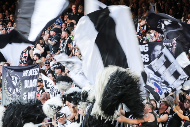 The Collingwood cheer squad at home in the Ponsford Stand.