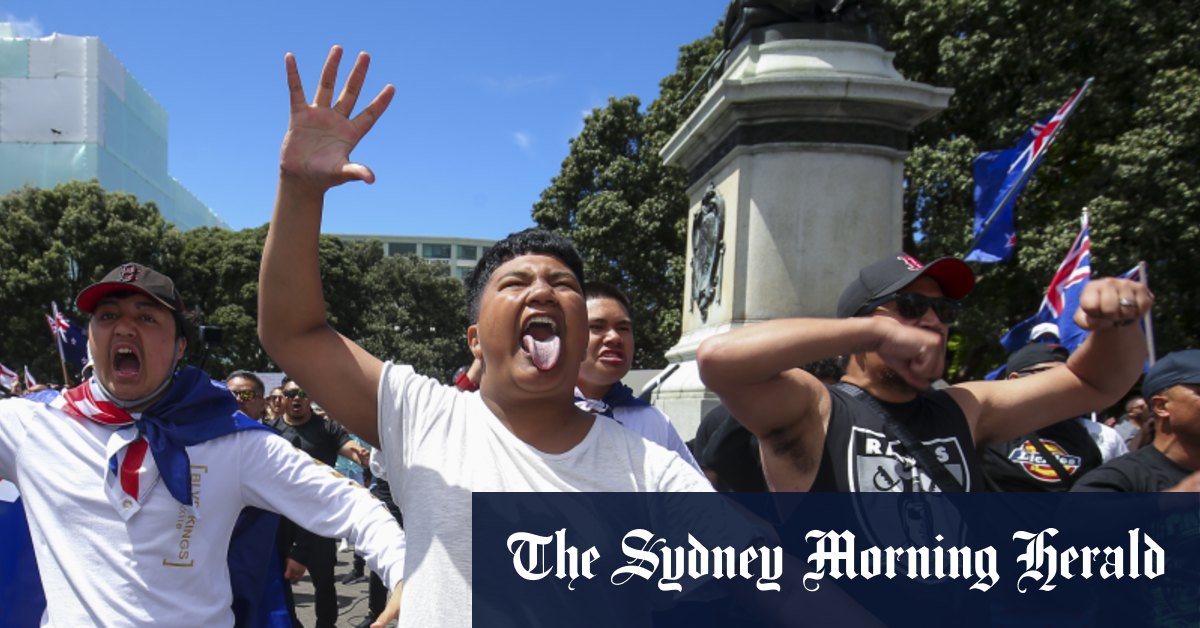 Maori tribe demands anti-vax protesters stop doing their haka