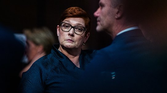 Foreign Minister Marise Payne’s colleagues say she’s smart and on top of her brief but is reluctant to front media.