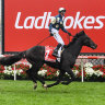 Ladbrokes owner increases bid to $3.5b for Tabcorp’s wagering business
