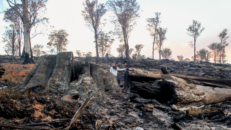 Australia news LIVE: Karl Stefanovic leaves Nine; Venezuela toll rises after twin earthquakes