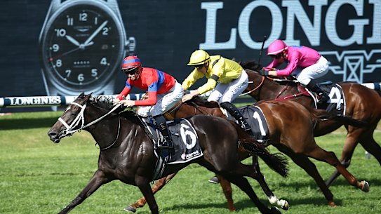 Verry Elllegant edges out Addeybb in last month’s Ranvet Stakes at Rosehill  
