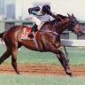 Better Loosen Up, winning the 1991 Australian Cup.