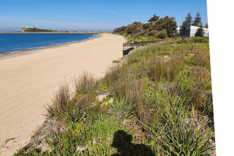 Beach erosion at Stockton near Newcastle, another region where carbonate-rich sands may see faster depletion.