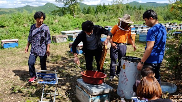 Li Jing’ai (left), 64, looks over while her husband and two sons are working on the honey farm.