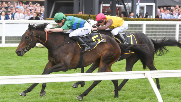 Renaissance Woman and Josh Parr appeal in the Queensland Oaks in the absence of Fireburn.