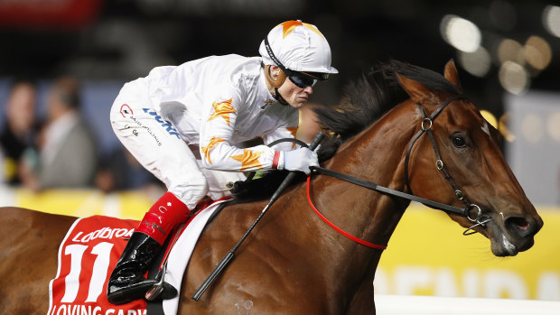 Craig Williams steers Loving Gaby to victory in the 2019 Manikato Stakes.