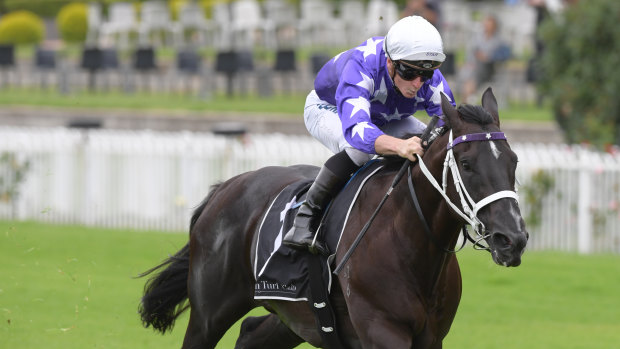 Bone of contention: even victory in the Inglis Millennium may not be enough to get Accession into next month's Golden Slipper.
