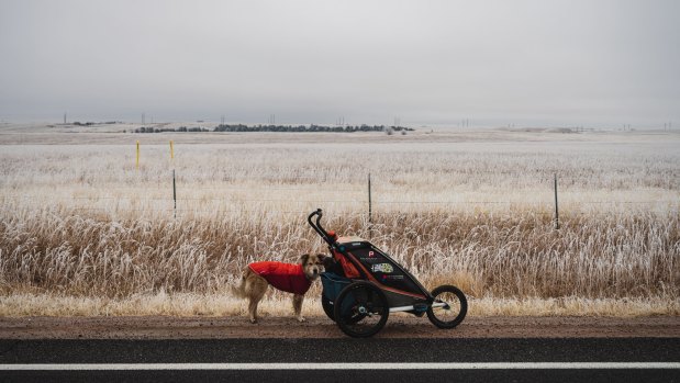 Savannah is now the first dog to have walked around the world.