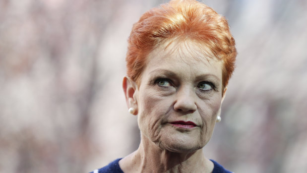 One Nation senator Pauline Hanson 