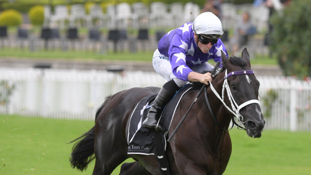 On the rise: Accession races into Golden Slipper contention at Rosehill on Saturday.