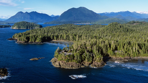 14 feet have washed up on Canada's west coast in the last 11 years.