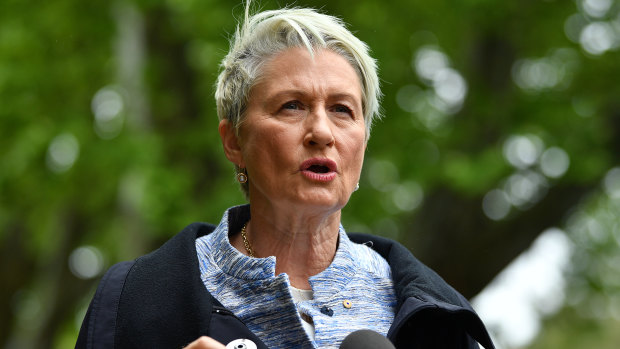 Kerryn Phelps is running for the seat of Wentworth as an independent.