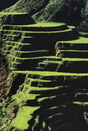 An ancient rice terrace in the Philippines