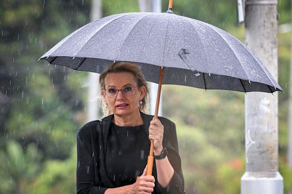 When it rains: Liberal Party deputy leader Sussan Ley is one of only six Liberal women in the House of Representatives.