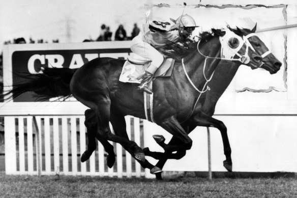 Hyperno (blinkers) wins the 1979 Melbourne Cup from Salamander. 