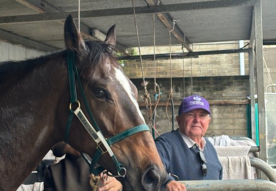 Headwall breeder and part-owner Reg Young.