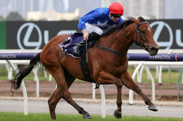 Rubisaki is ready to step again in the Carr Stakes at Randwick on Saturday.
