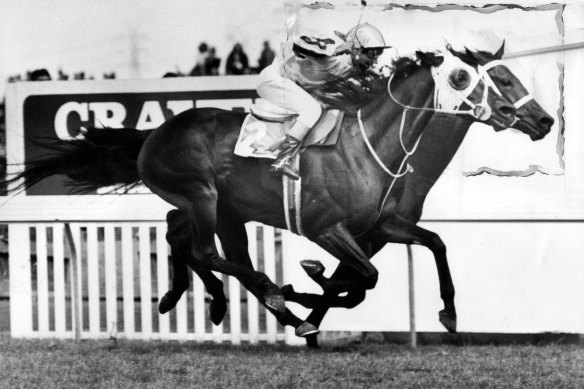 Hyperno takes the 1979 Melbourne Cup, seemingly unburdened by a large wager from Rupert Murdoch.