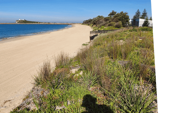 Beach erosion at Stockton near Newcastle, another region where carbonate-rich sands may see faster depletion.