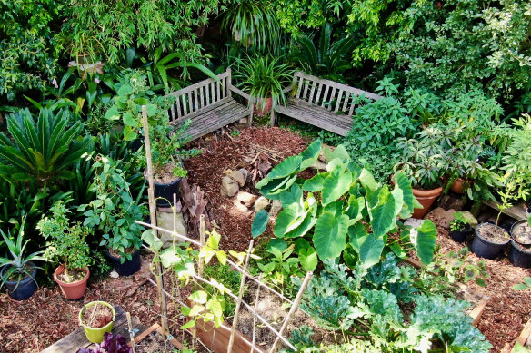 Bridget Kennedy in her garden