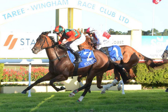 Racing returns to Taree on Tuesday with a seven-race card.