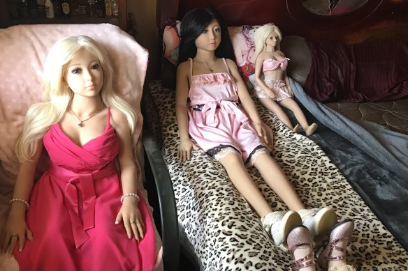 A Brisbane man has become the first person in the state to be sentenced for possessing child-like sex dolls under Commonwealth laws targeting child abuse related offences. 