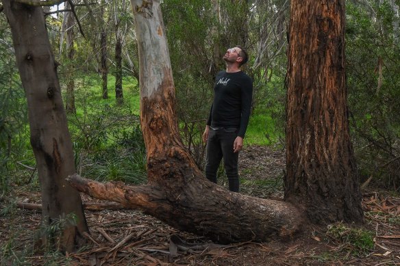 Global play specialist Marcus Veerman at the site of the Coburg North treehouse after its removal.
