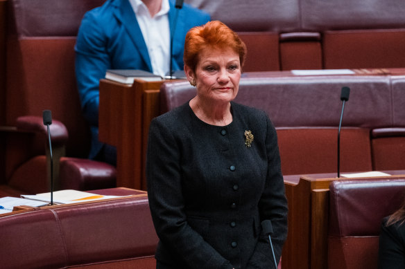 One Nation leader Pauline Hanson said the party would spearhead the campaign against an Indigenous Voice to Parliament.