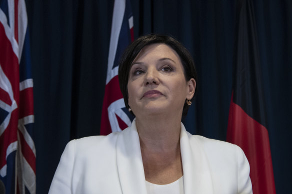 Rumours about former opposition leader Jodi McKay being considered for a trade role triggered Labor’s interest.
