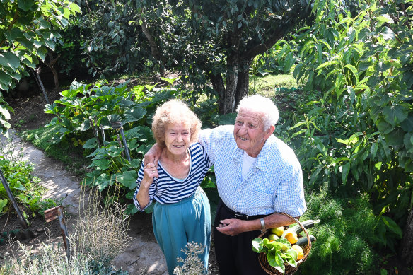Gregory and Maria Lekatsas in their garden.
National data reveals that about 50 per cent of Victorians aren't eating enough fruit.