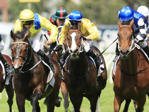 Young Rascal holds off Mugatoo in last year’s Manion Cup on a soft track