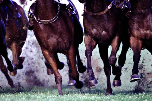 Racing returns to Wagga on Sunday.
