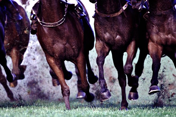 Racing returns to Muswellbrook on Tuesday.