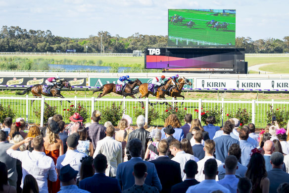 Five race meetings were cancelled last summer due to the extreme heat. 
