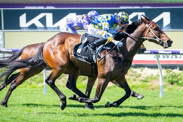 Jokers Grin winning the Colonel Reeves Stakes at Ascot in November last year.