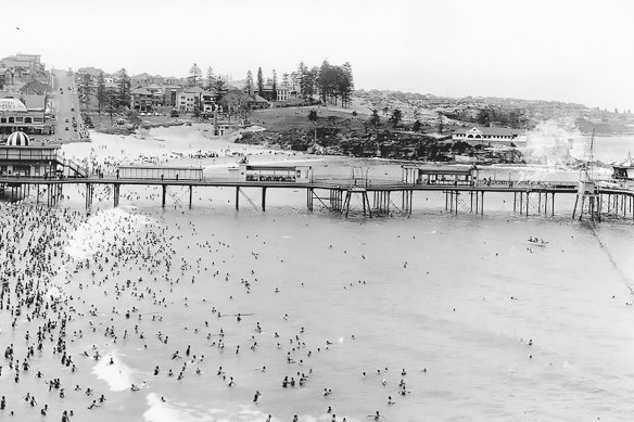 Coogee Pier: The shark in the "shark arm" mystery was caught a few kilometres from here in 1935. 
