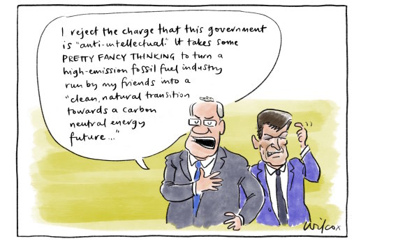 Illustration: Cathy Wilcox