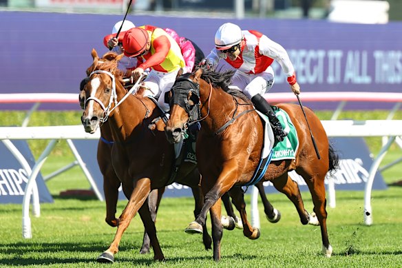 Tips and race-by-race guide for Randwick on Saturday