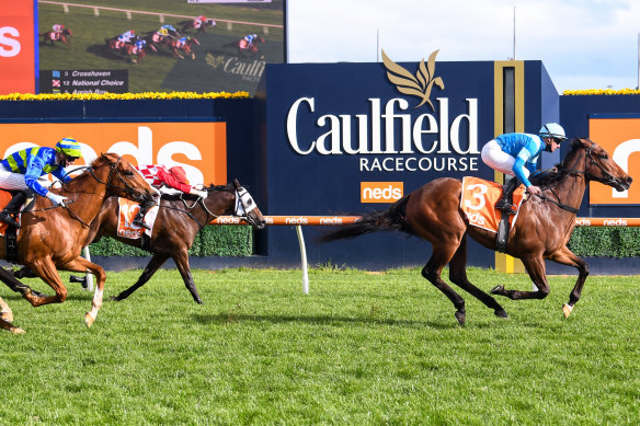 Crosshaven, ridden by Daniel Stackhouse, proves too good in the Caulfield Guineas Prelude on Saturday.