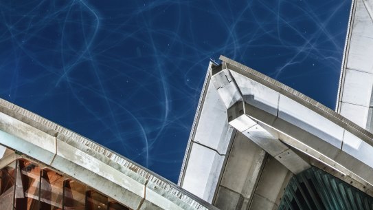 Long-exposure showing seagulls chasing moths above the Sydney Opera House.